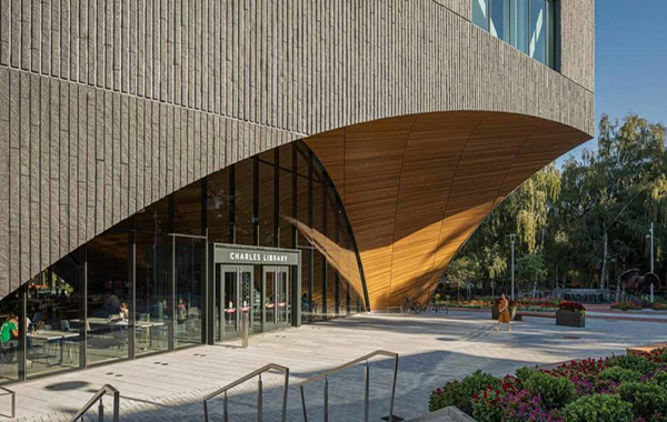 Mesabi Black Granite Inspires Creative Library Design