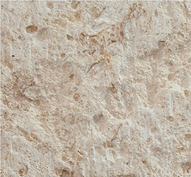 Mactan White Coral Stone Tiles