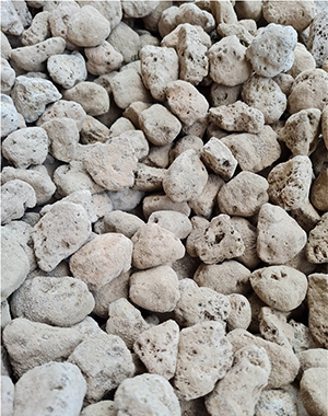 pumice stone pumice stone