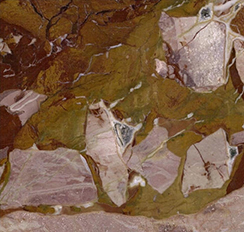 Breccia Pontificia Marble